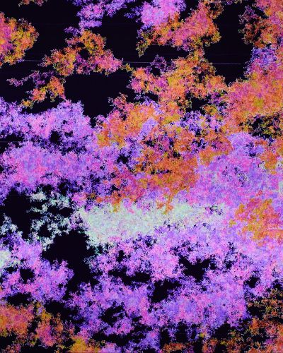 Close-up photograph of multiple digitally organic clusters of red, orange, pink, purple, and white contiguous forms set against a deep blue background.