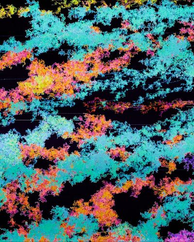 Close-up photograph of multiple teal, blood orange, canary yellow, and magenta strands of contiguous digital clusters against a bluish/blackish background.