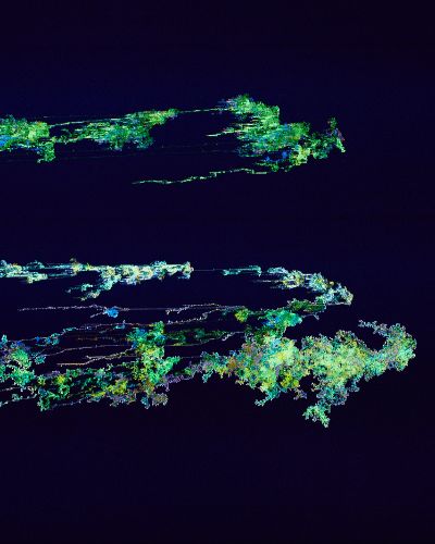 Close-up photograph of the image above which shows three striated and somewhat squid-like green, white, and purple striated, organically shaped pixelated forms against a deep blue background.