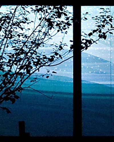 Close-up nighttime photograph of three large storefront windows showing a projection of an undulating geometric rendering of a snowy, bluish, and hilly winter landscape. On the left side of the photo, in front of the projection, are branches emanating from a tree without any leaves.