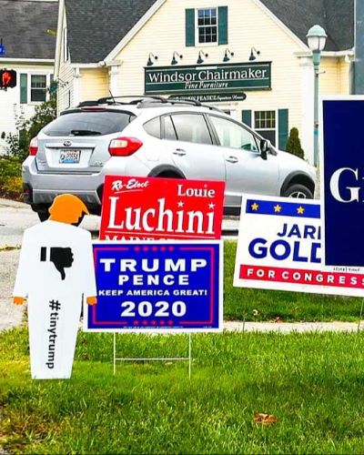 Photograph of a tiny trump lawn sign in a crowded jumble of other Democrat and Republican campaign signs. Needless to say, it stands out:)