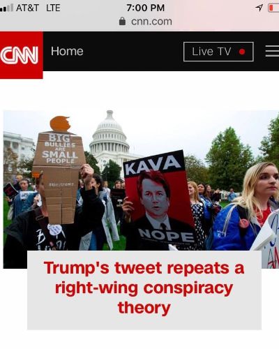 Screenshot of CNN.com on a mobile device showing a protest in front of the Capitol Building with one activist holding up a tiny trump with the slogan Big Bullies Are Small People