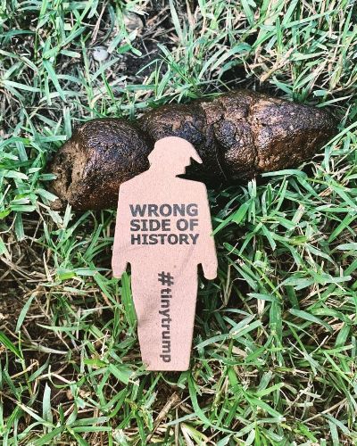 a photograph of a tiny trump with the slogan 'Wrong Side of History' placed on top of a pile of dog crap