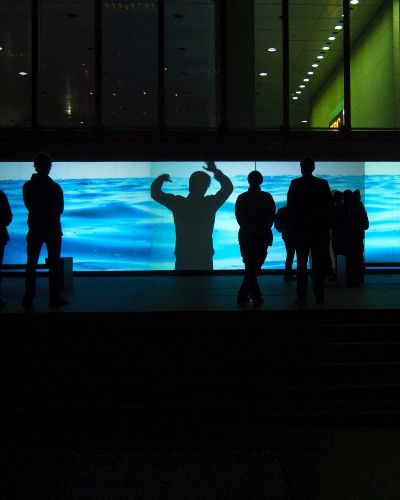 Nighttime photograph of about a dozen people, all with their backs to the camera, looking at the projected image of a body of water in front of them. In the middle of the projected image is a large silhouette of a figure performing a dance maneuver, which is quite striking if you ask me.