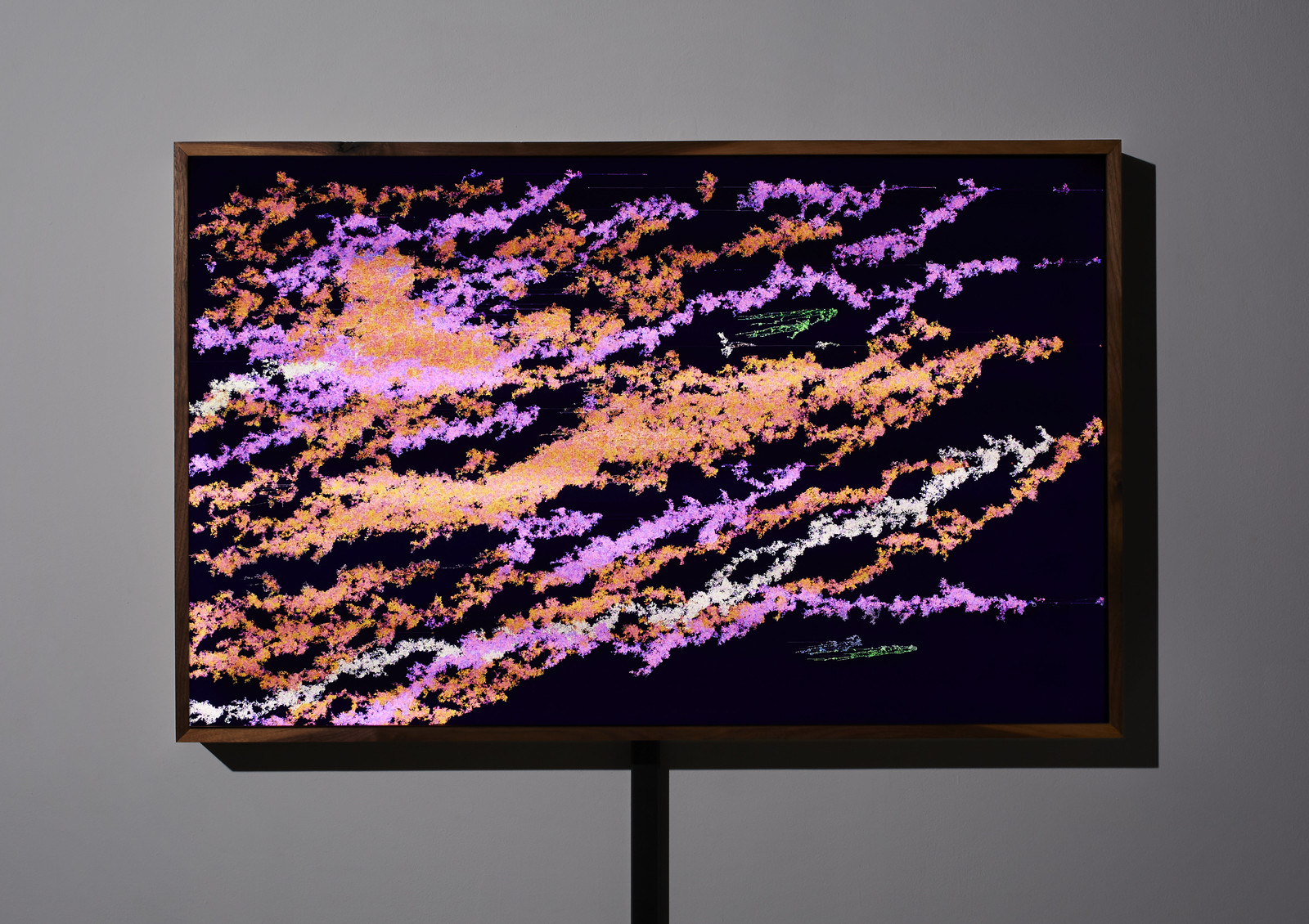 Photograph of a wooden-framed, very bright/illuminated artwork hanging on a gray wall. The content of the work is dozens and dozens of snake-like organically pixelated forms vaguely oriented to the northeast of the frame against a very dark blue/purple background.