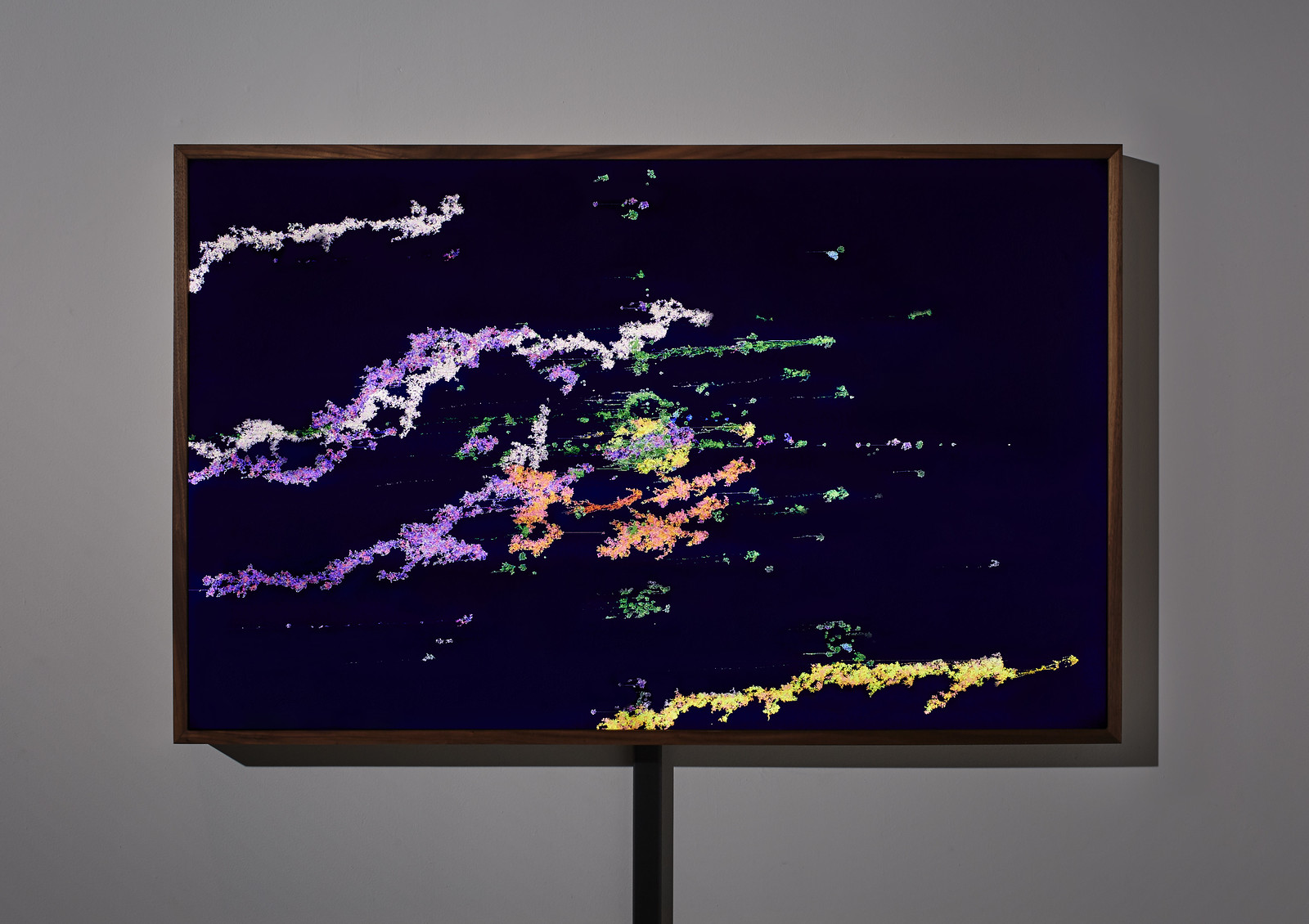 Close-up photograph of multiple teal, blood orange, canary yellow, and magenta strands of contiguous digital clusters against a bluish/blackish background.