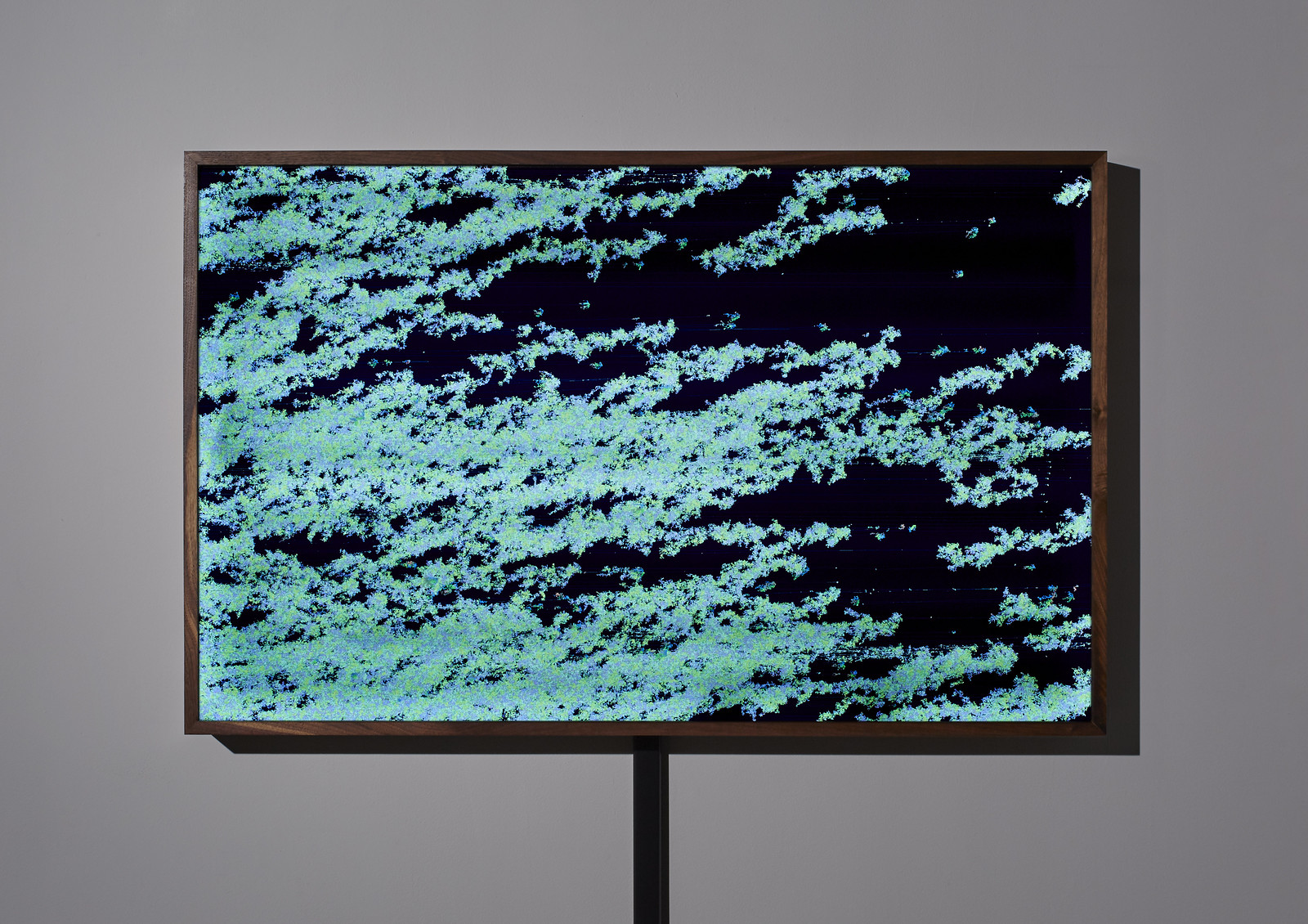 Photograph of a wooden-framed, illuminated artwork hanging on a gray wall showing concentrated masses of teal and turquoise pixel clusters, seemingly expanding from left to right, against a deep blue background.