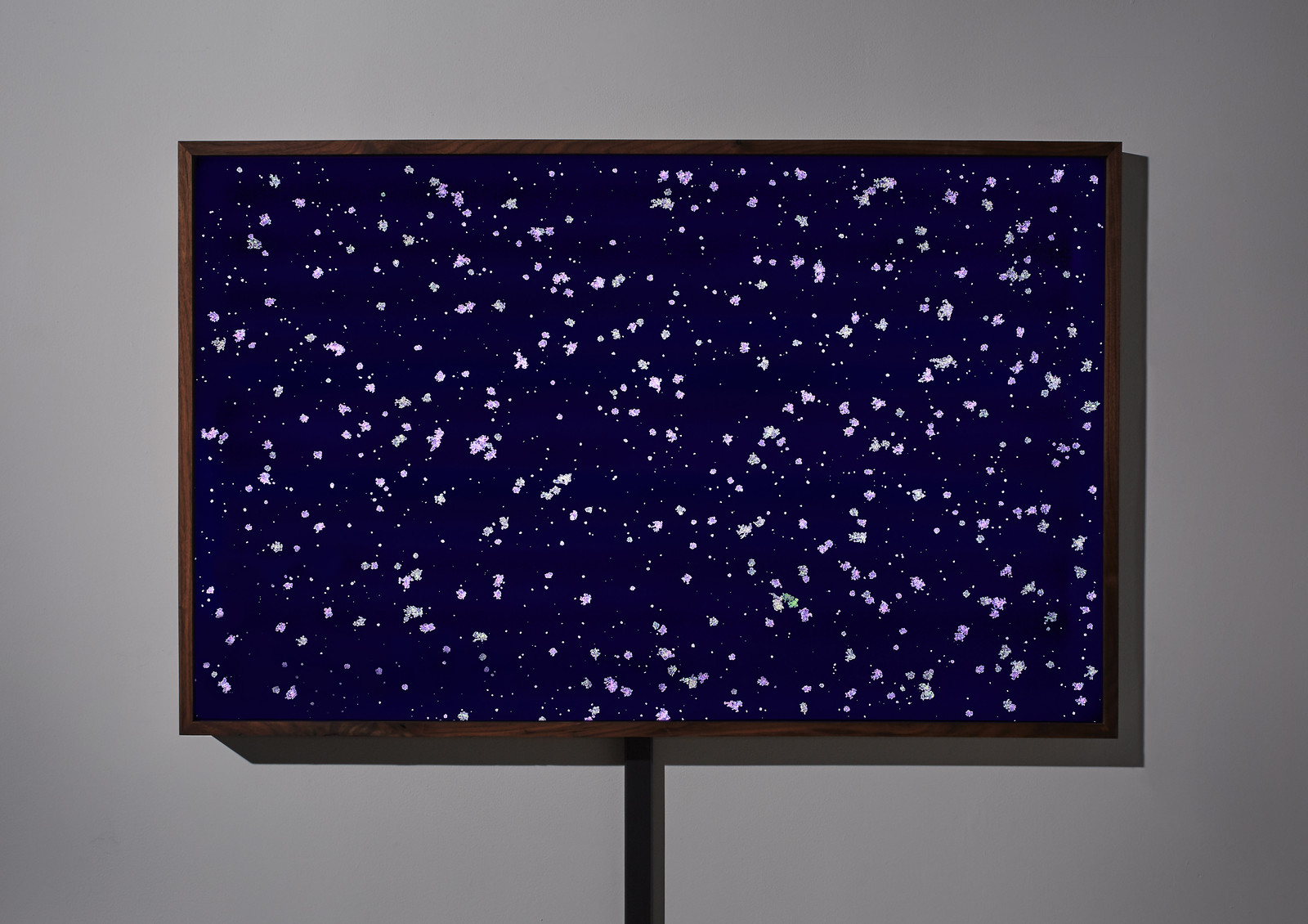 Photograph of a wooden-framed, illuminated artwork hanging on a gray wall showing a constellation of hundreds of small asteroid-shaped purple clusters against a deep blue background.