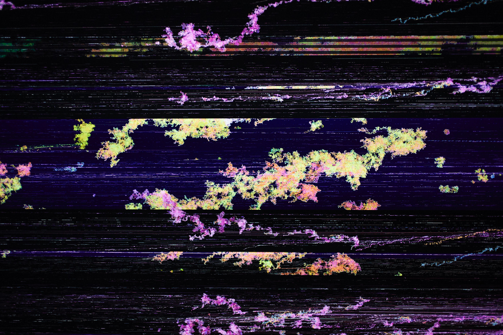 Close-up photograph of the image above which shows mostly orange organically shaped pixel clusters punctuated by two black-background horizontal rows of varying heights; set against a royal purple background.