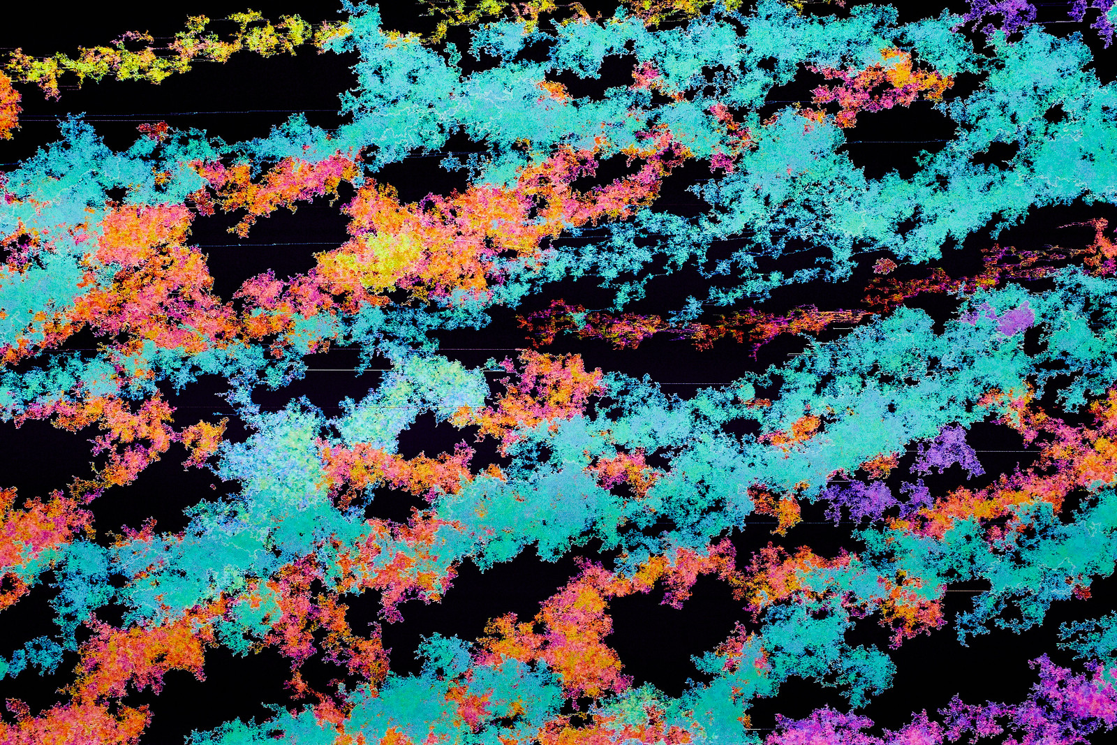 Close-up photograph of multiple teal, blood orange, canary yellow, and magenta strands of contiguous digital clusters against a bluish/blackish background.