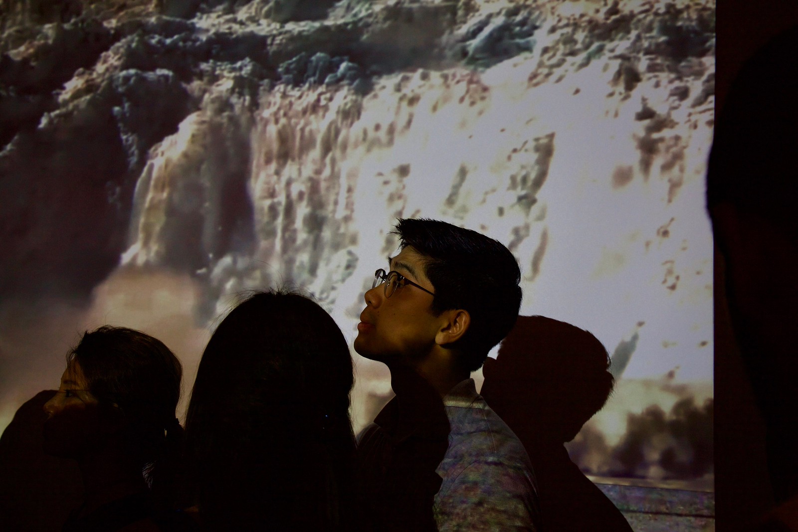 Close-up photograph of the profile of a gallery-goer's head, illuminated by a projection, in the foreground. In the background is a soft, white, projected image of a large glacier calving.